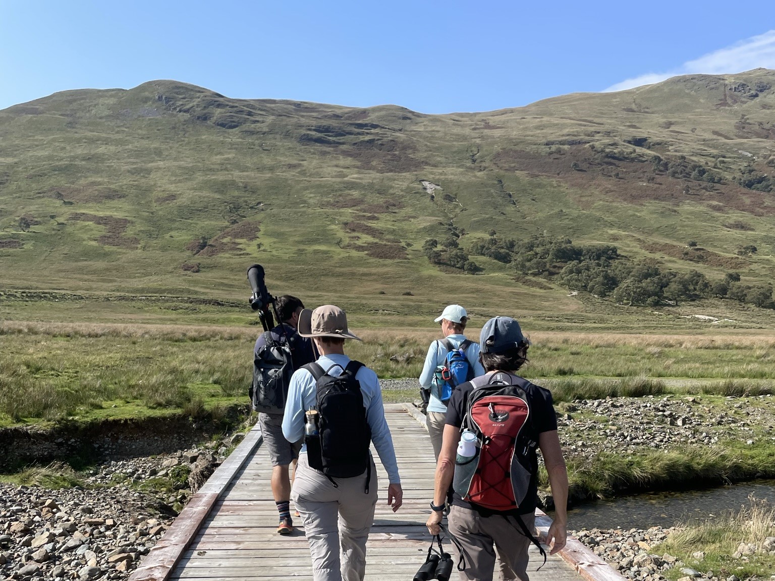 Wildlife walking tour Mull short break Wildlife walking tour Mull short break