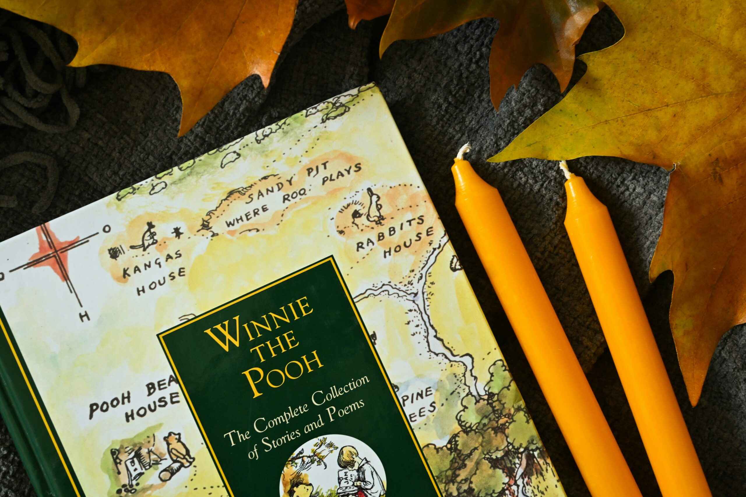 Winnie the Pooh day trip UK Winnie the Pooh day trip UK